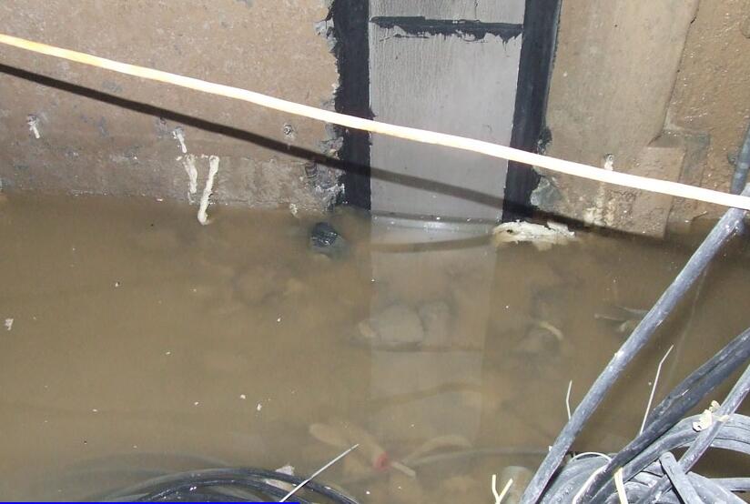 電纜溝防水蜜桃视频无码区在线观看