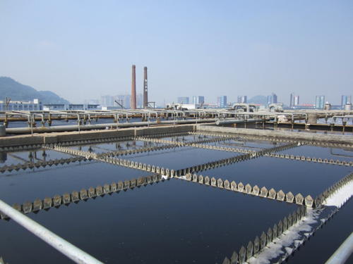 蓄水池蜜桃视频无码区在线观看