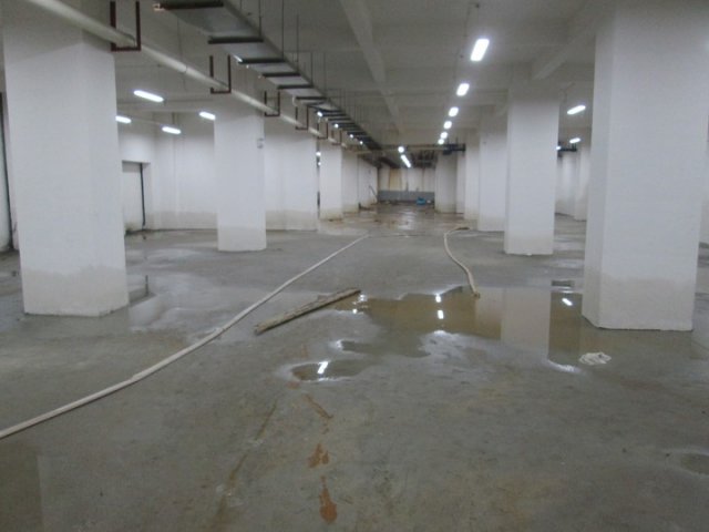 成都地下室蜜桃视频无码区在线观看多少錢