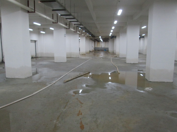 靈寶地下室蜜桃视频无码区在线观看公司哪家好，價格多少錢？2