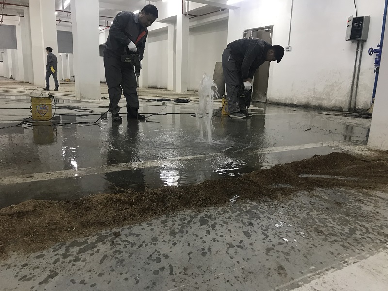 地下室亚洲精品蜜桃视频縫蜜桃视频无码区在线观看價格