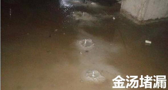 地下室蜜桃视频无码区在线观看方法最新（地下室滲水處理的注意事項）
