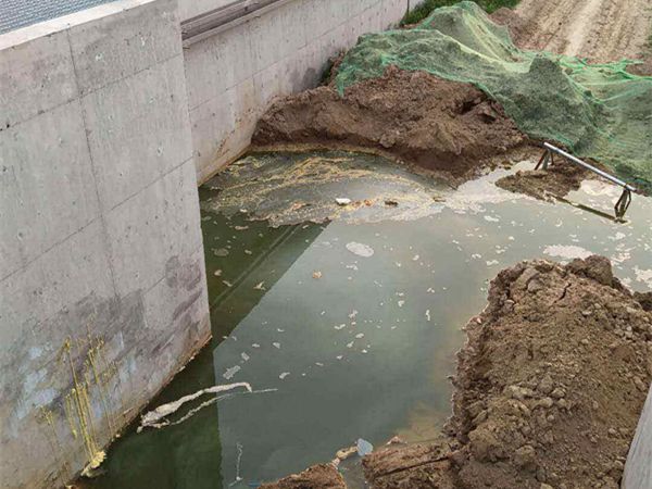 洛陽市某汙水處理廠汙水池防水蜜桃视频无码区在线观看工程亚洲精品蜜桃视频案例1