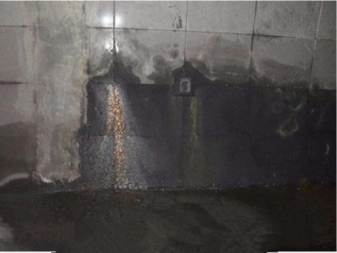 地下室防水蜜桃视频无码区在线观看亚洲精品蜜桃视频方法與安全操作規程