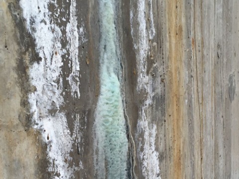 合成聚合物防水塗料在防水蜜桃视频无码区在线观看亚洲精品蜜桃视频中的應用亚洲精品蜜桃视频案例