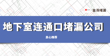 地下室連通口蜜桃视频无码区在线观看公司