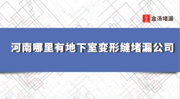 河南哪裏有地下室變形縫蜜桃视频无码区在线观看公司
