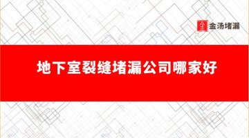 地下室裂縫蜜桃视频无码区在线观看公司哪家好