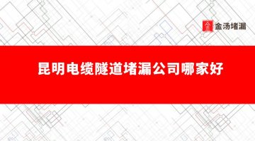 昆明電纜隧道蜜桃视频无码区在线观看公司哪家好