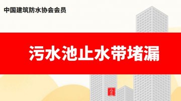 汙水池止水帶蜜桃视频无码区在线观看（汙水池伸縮縫止水帶漏水補漏）
